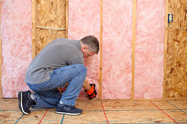 Best Types of Insulation in The Plains, OH